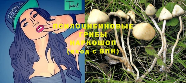 PSILOCYBIN Бородино